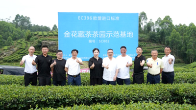 通江县考察犍为欧盟标准茶叶基地信息33.jpg