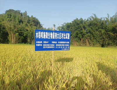 赞宜宾老科协人99.jpg
