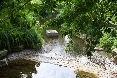 DSC_5902.jpg